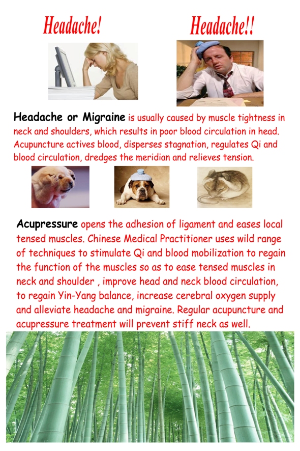 Headache and Acupuncture